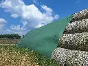 20250527_111434.webp